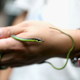 The Year in Snakes, Ranked